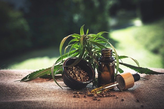 cbd a adaptogeny