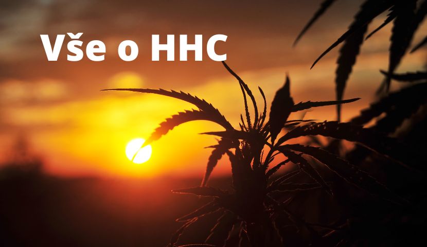 vše o hhc