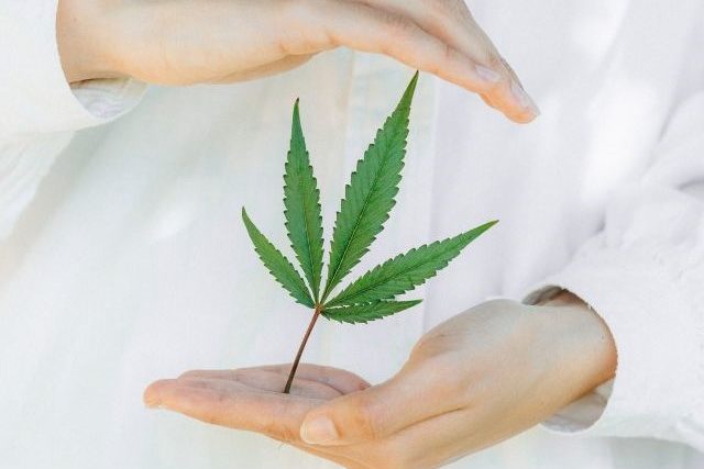 co je cbd