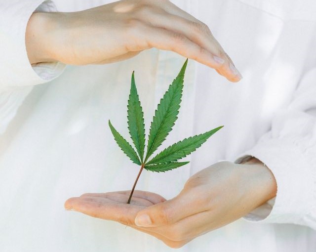 co je cbd